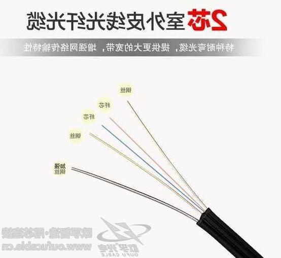 荣昌区欧孚光缆厂家 双芯皮线光缆是什么结构的